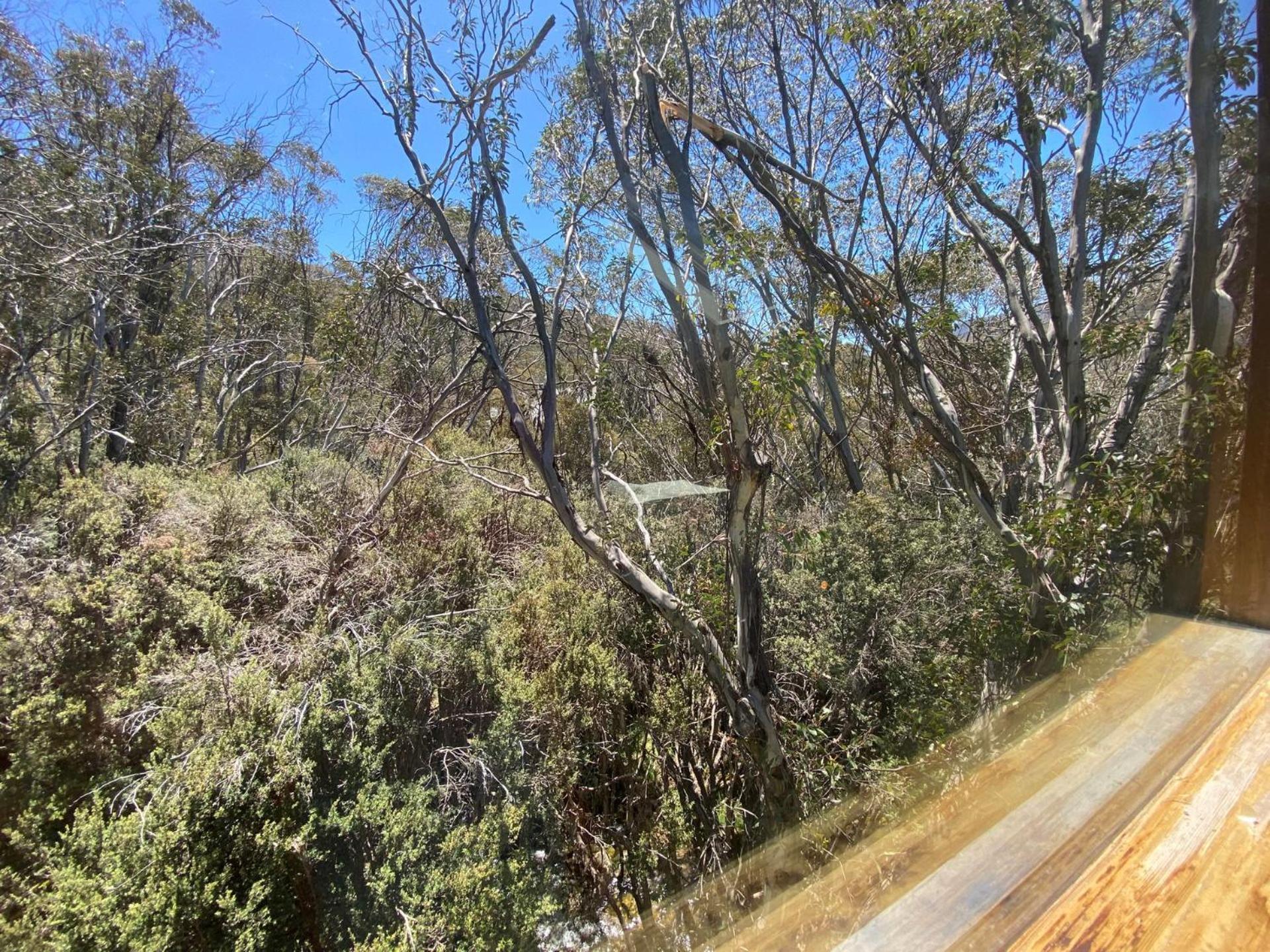 Ferienwohnung Ramshead Creek 3 - Thredbo Exterior foto